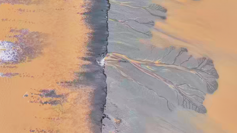 怎么剪 潮汐树灌水拍摄后期调色技巧